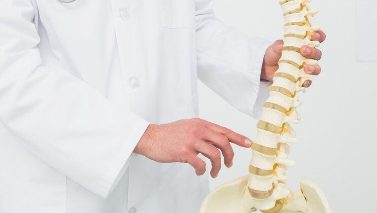 lékař demonstruje proces vývoje osteochondrózy